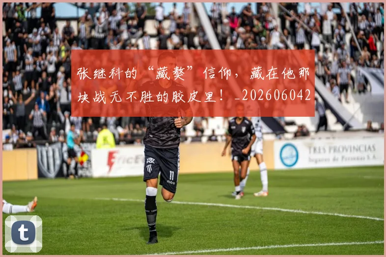 张继科的“藏獒”信仰，藏在他那块战无不胜的胶皮里！_20260604222029
