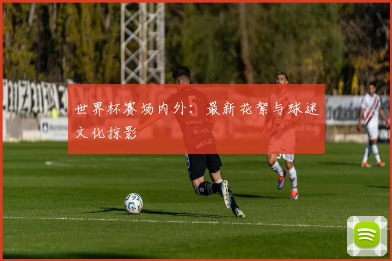 世界杯赛场内外：最新花絮与球迷文化掠影
